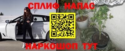 гашик Малгобек