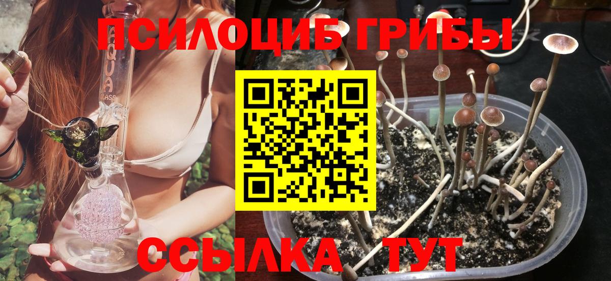 Псилоцибиновые грибы прущие грибы  цена   Азов  Вход с VPN 